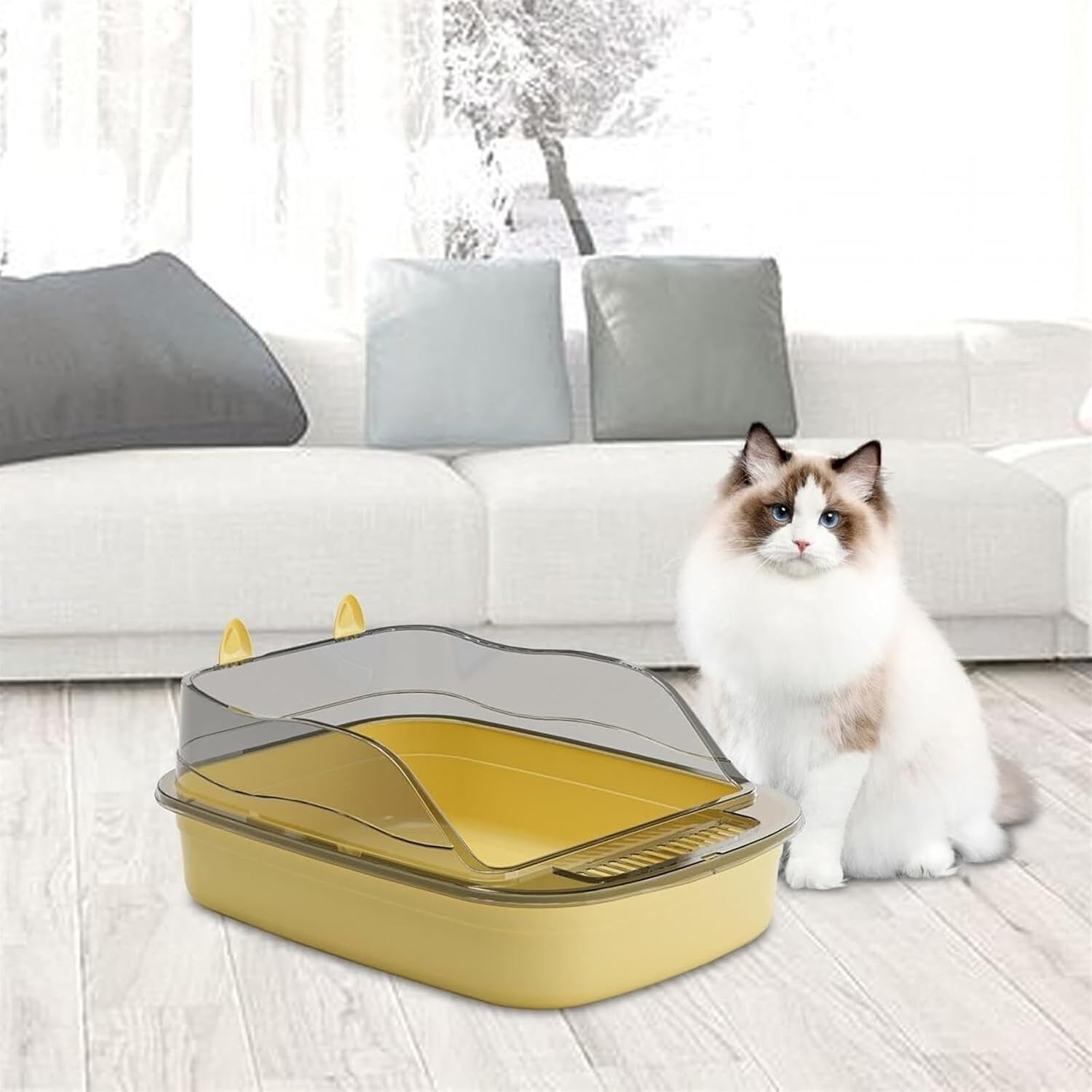 寺島　龍一「ブルーのショールを纏う女性」パステル 寺島 龍一「ブルーのショールを纏う女性」パステル 【公式通販】